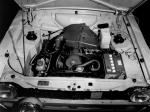 Ford Escort RS Mexico 1975 года